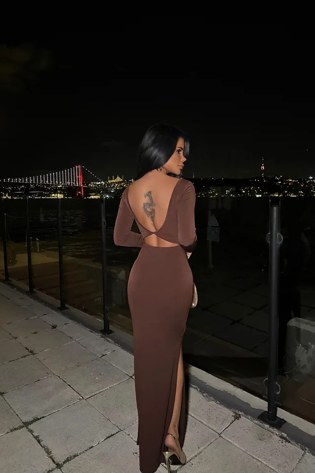 Brown long Sleeve Dress